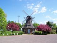 Windmill Park in Summer