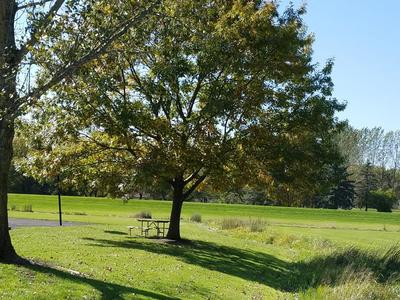 20171008_135658.jpg